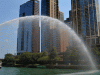 DSC_0213.gif