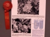 ceramograph_contest_02.JPG