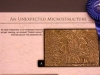 ceramograph_contest_05.JPG
