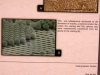 ceramograph_contest_06.JPG
