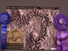 ceramograph_contest_08.JPG