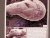 ceramograph_contest_09.JPG