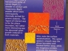 ceramograph_contest_10.JPG