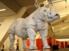 alfred_mfa_exhibit_02.JPG