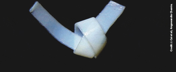CTT: Toughened, flexible silica aerogel? Joint Japanese–Chinese group shows how to do it