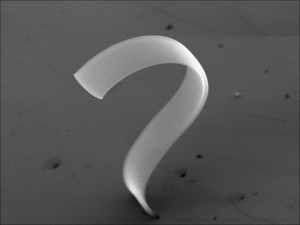 A CNT ribbon self-organizes into a question mark morphology. Credit: Chen; UC.
