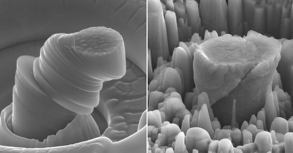 Ceramic Nanoparticles