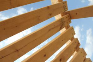 New strategies aim to give wood the strength to replace concrete in ...