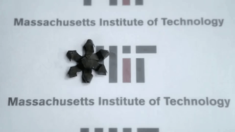 MIT magnet_large