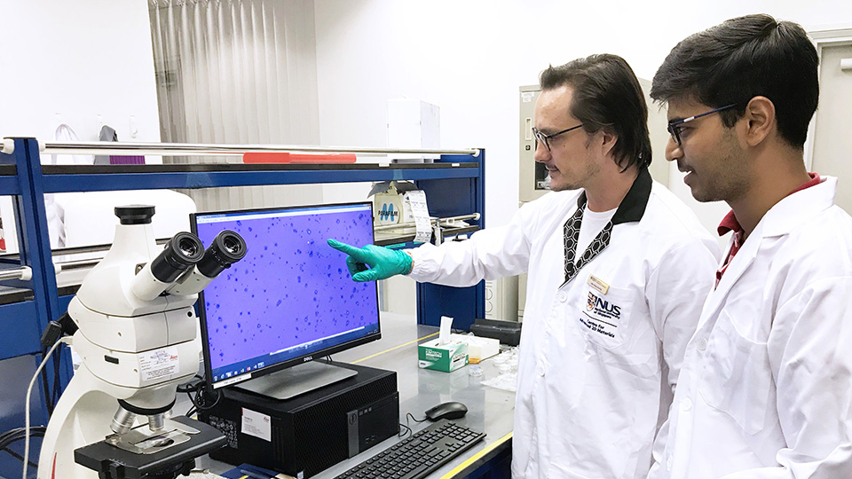 researchers inspect graphene