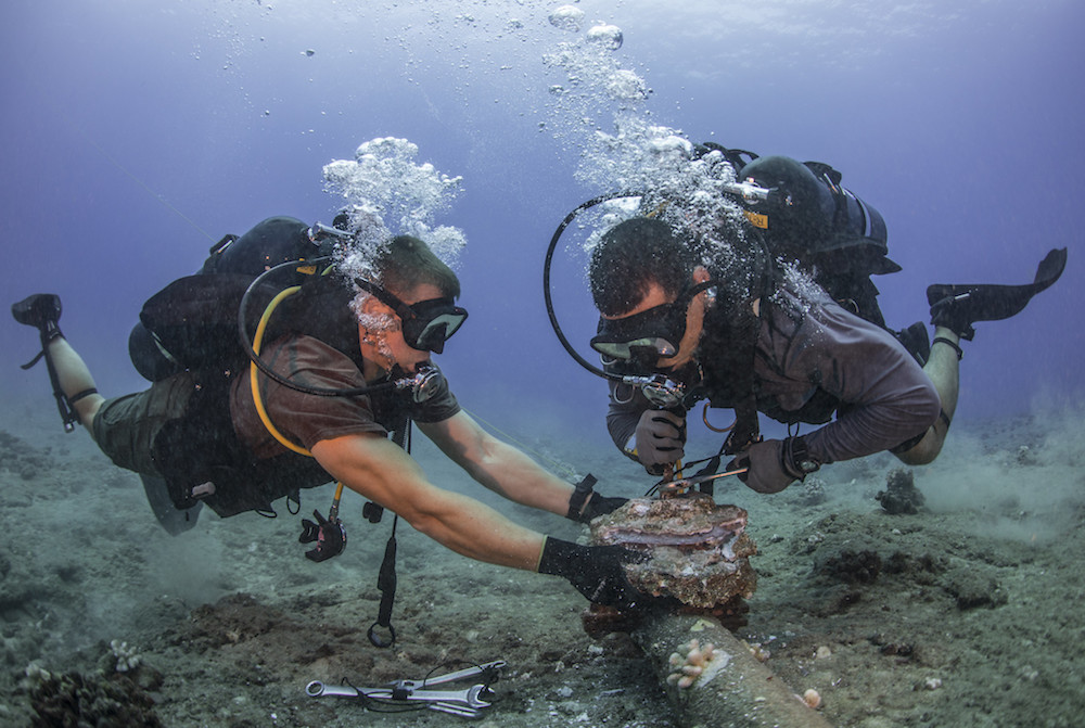 PACIFIC OCEAN (July 5, 2016) Chief Construction Electrician Daniel Luberto, right, and Construction Mechanic 3rd Class Andersen Gardner, assigned to Underwater Construction Team 2, Construction Dive Detachment Bravo (UCT2 CDDB), remove corroded zinc anodes from an undersea cable at the Pacific Missile Range Facility Barking Sands, Hawaii. (U.S. Navy photo by Mass Communication Specialist 1st Class Charles E. White/Released) 160705-N-GO855-197 Join the conversation: http://www.navy.mil/viewGallery.asp http://www.facebook.com/USNavy http://www.twitter.com/USNavy http://navylive.dodlive.mil http://pinterest.com https://plus.google.com