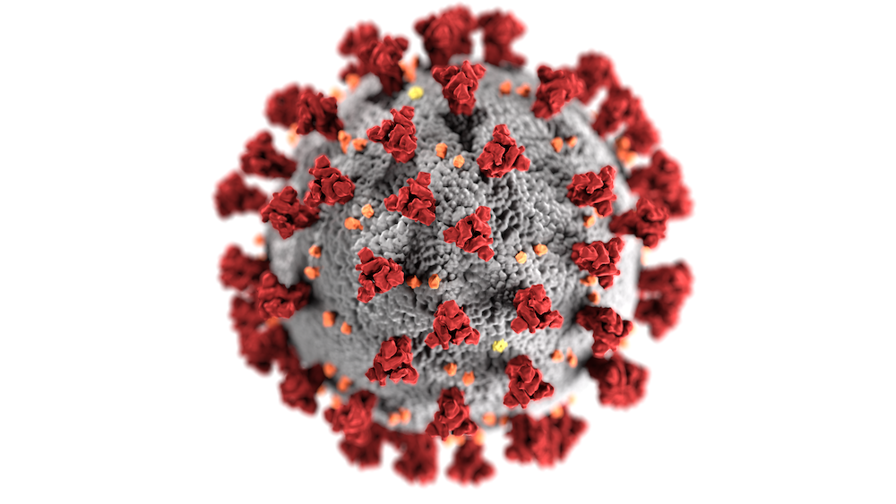03-31 coronavirus SARS-CoV-2