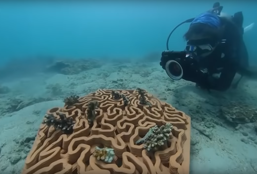 12-16 ceramic tile restore coral reefs