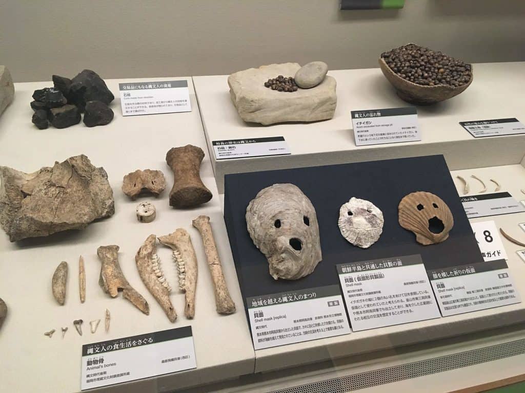 04-08 fossil collection