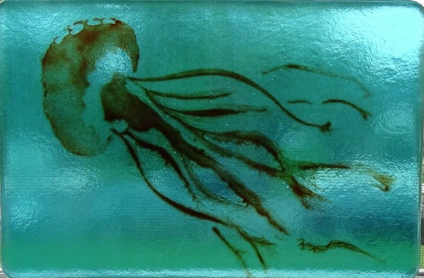 2016 Viewer's Choice Award "Fused Jellyfish" by Ashley McClain