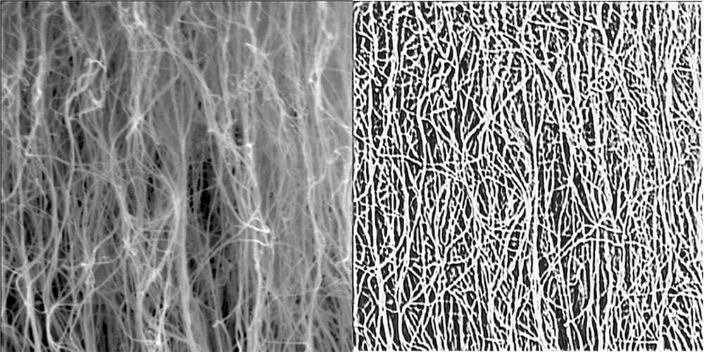 03-21 carbon nanotube forest