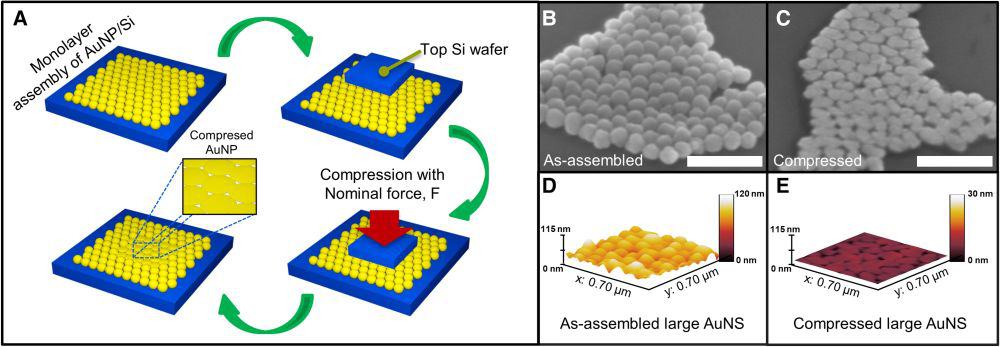 10-20 goldbeating nanoparticles