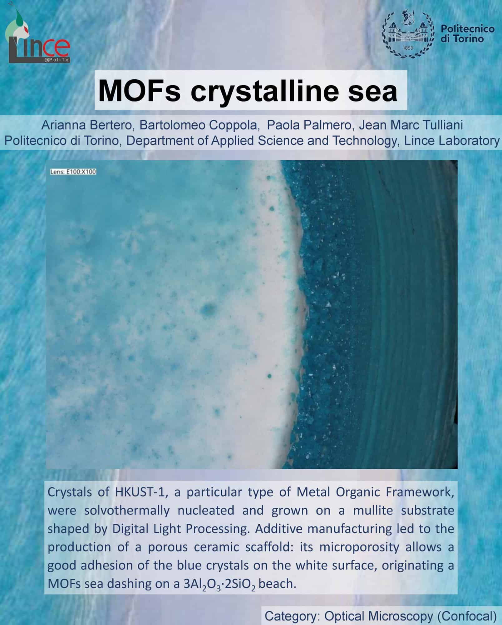 Arianna-Bertero_MOF Crystalline Sea