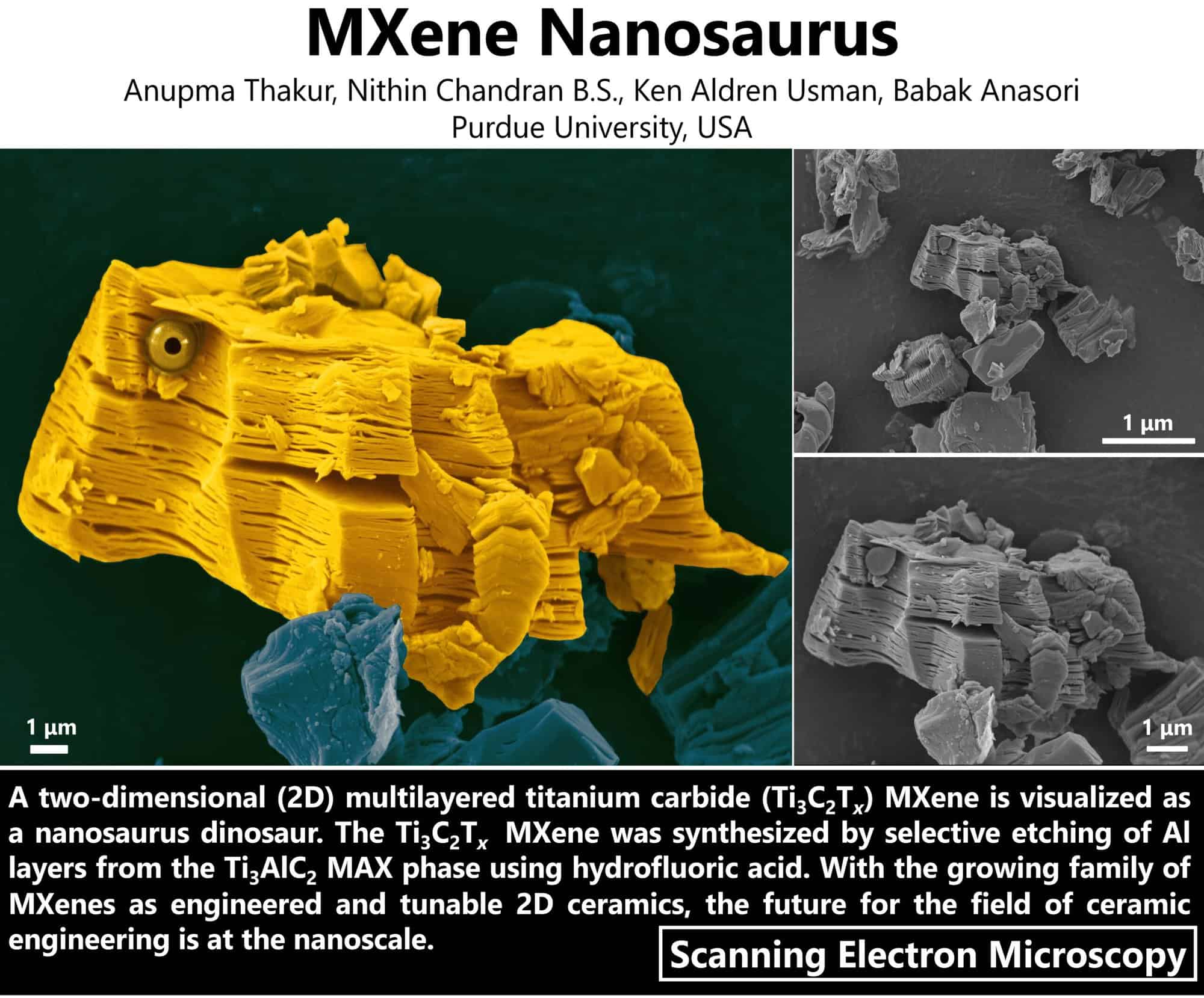 Nithin_Chandran-MXene Nanosaurus