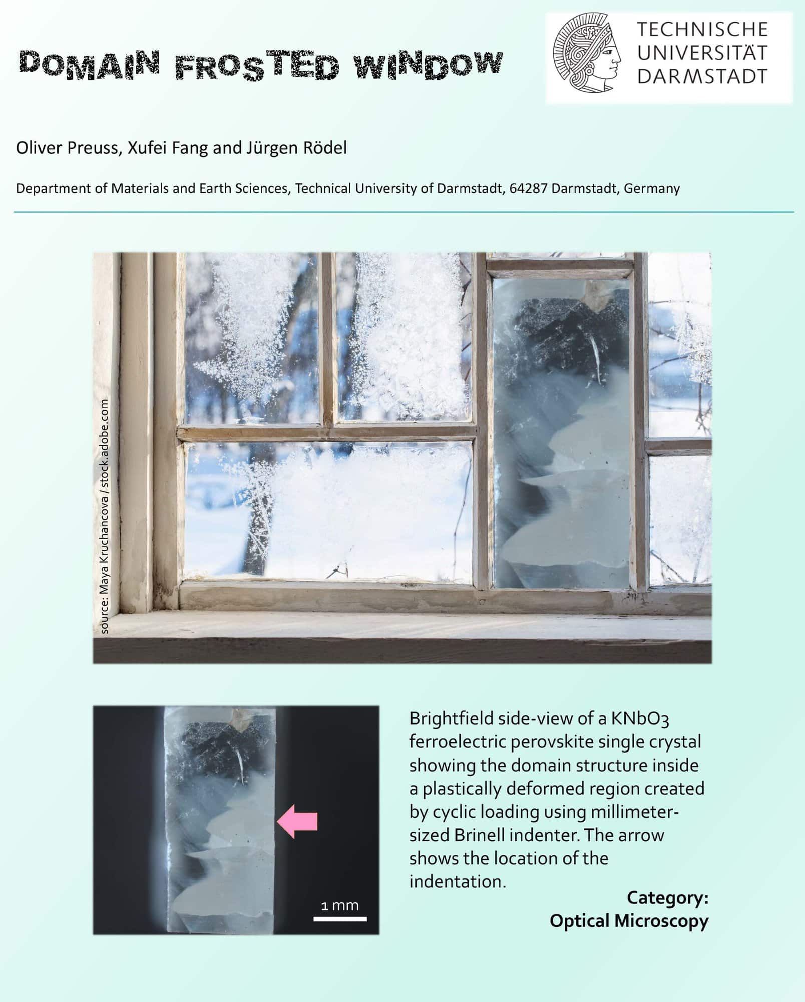 Oliver_Preuss-Domain Frosted Window